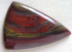 Richly coloured Petrified Wood Petrified Wood